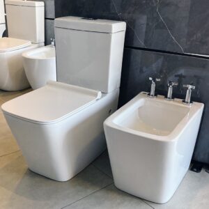 Juego Completo Leon Con Bidet 1AG RD2139+Rd21039Y